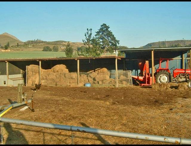 FARM FOR SALE IN GEORGE RURAL